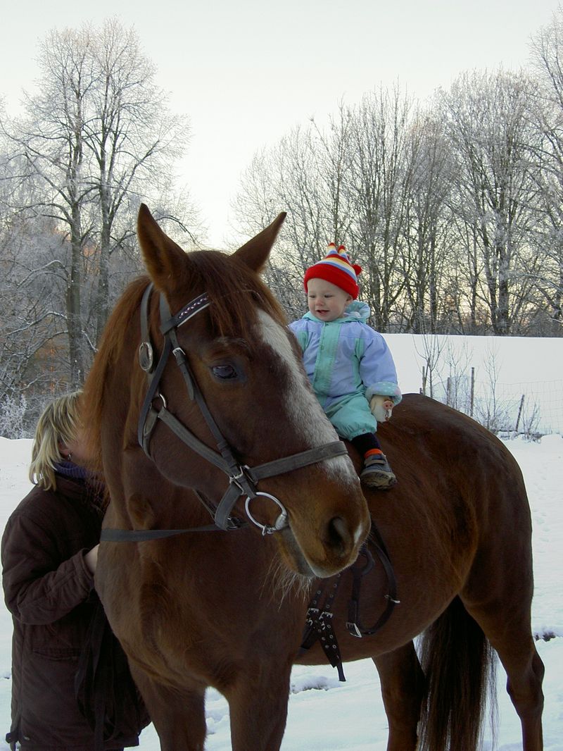 Eliška na Markýzovi