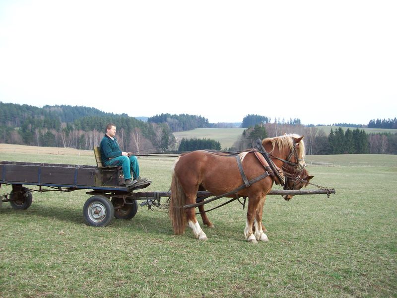 v zápřahu